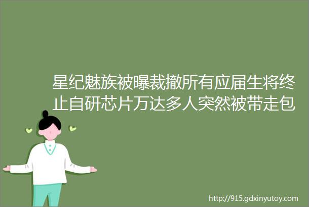 星纪魅族被曝裁撤所有应届生将终止自研芯片万达多人突然被带走包括一高级副总裁北大最新研究称LK99不是超导体雷峰早报